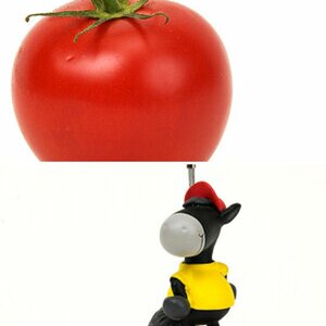 Produkte