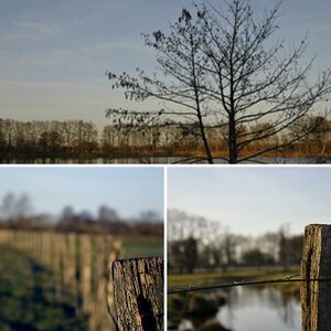 In der Natur