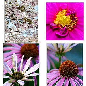 Fotos für das Portfolio 2