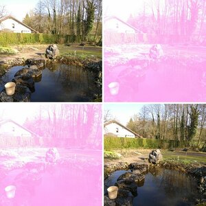 D2x-Bilder