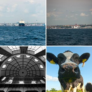 Oves Bilder