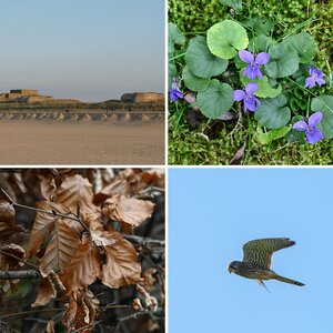 Landschaft und Natur