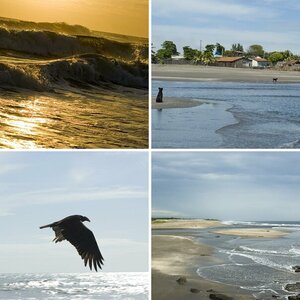 Reise