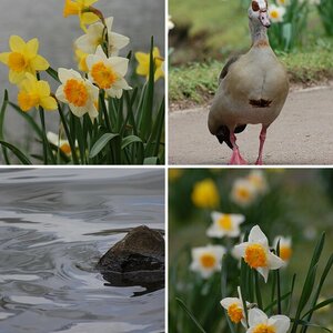 Minitreffen Rombergpark 10.04.2010