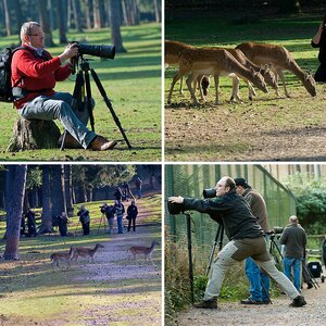 Wildpark Granat