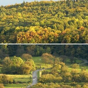 Herbst