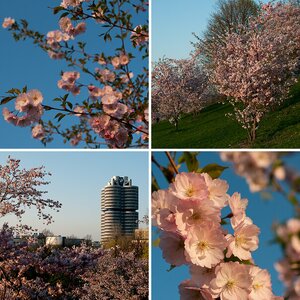 Frühling