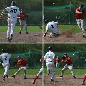 Stealers Baseball 2009