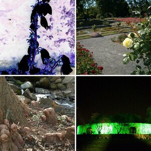 Grugapark 2010
