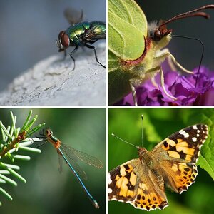 Natur 2