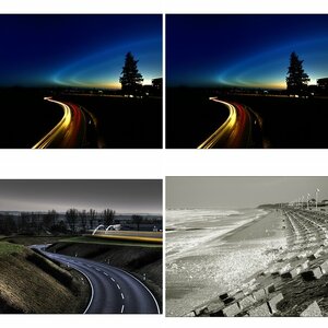 Landschaften, Natur / Pflanzen