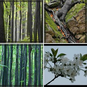 Diverses