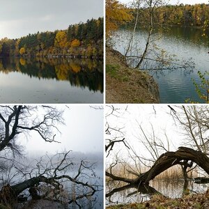Lausitzer Teichlandschaft