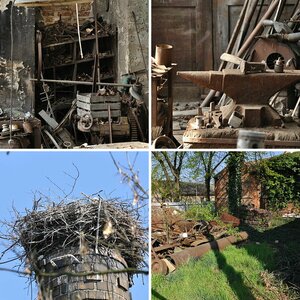 Alte Schmiede in Werben/Spreewald