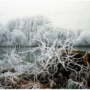Natur