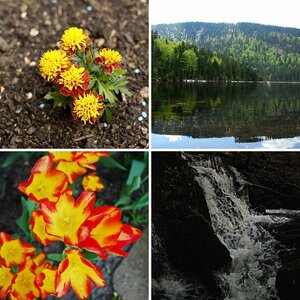 Natur