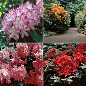 1992 Forstbotanischer Garten Köln