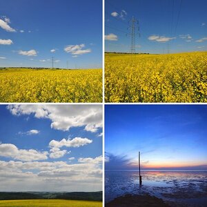 Landschaft