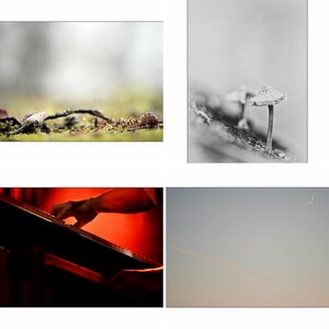 Tagebuch3