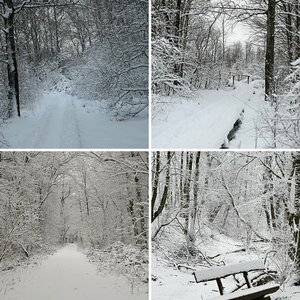 Z6 Winterbilder