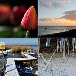 uSEDOM 2015