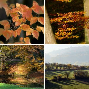 Herbst 2016