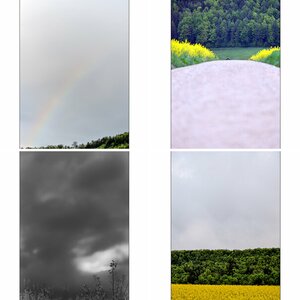 Farbe7