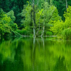 Reflexionen