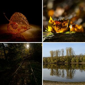 Herbstimpressionen