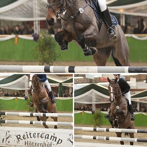 Reitsport