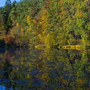 Herbst