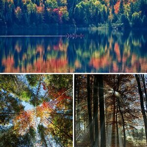 Herbst