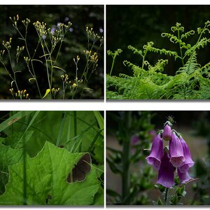 Wald, Wiese, Feld & Garten I