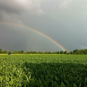 Regenbogen