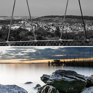 Rokleys Bilder