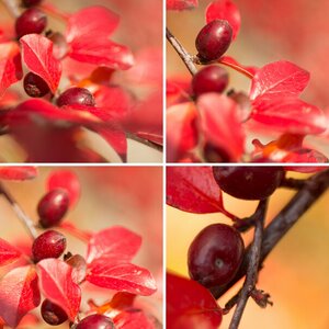 Herbst 2016
