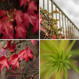 Herbst 2016 2