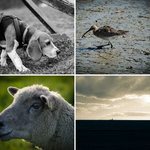 Top 5 Bilder 2013