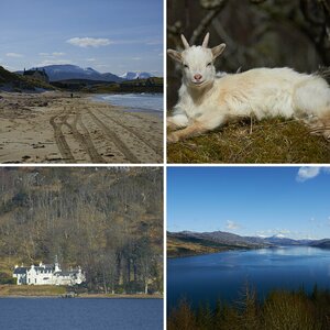 Scotland