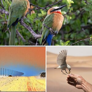 Reise Namibia
