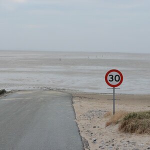 Ausgangsbilder