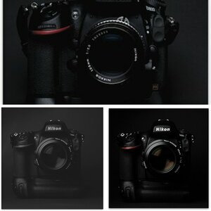 Nikon D800