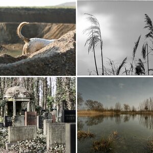 Esgaroth Bilder 8