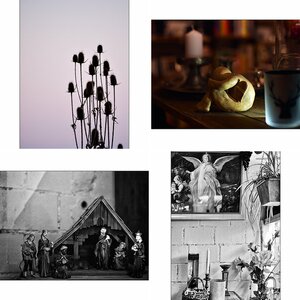 Farbe16