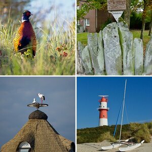 Borkum