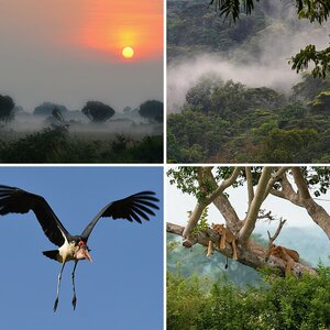 UGANDA Dez. 2013