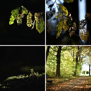 Natur