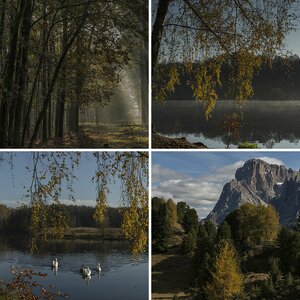 Naturfotos III