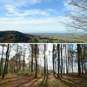 Herbstimpressionen