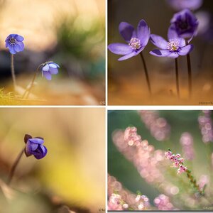 Natur
